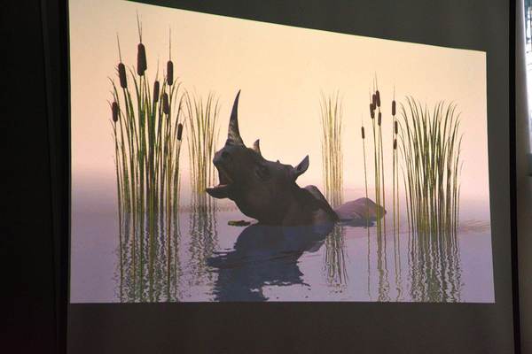 a moze nosorozec wypromuje nam gorzow, zdjęcie 16/26